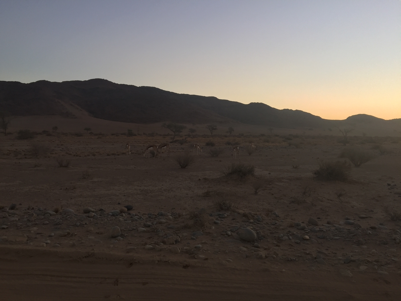 [14324] 2016_06_24_17_21_03_Africa_iPhone_6_Plus_IMG_3641_00258.jpg