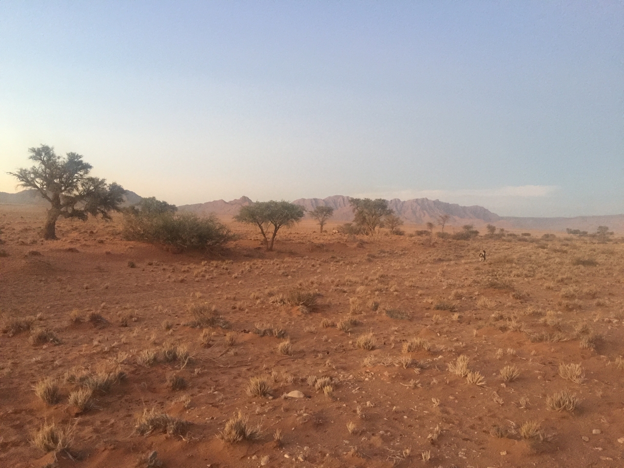 [14341] 2016_06_24_17_35_42_Africa_iPhone_6_Plus_IMG_3649_00265.jpg