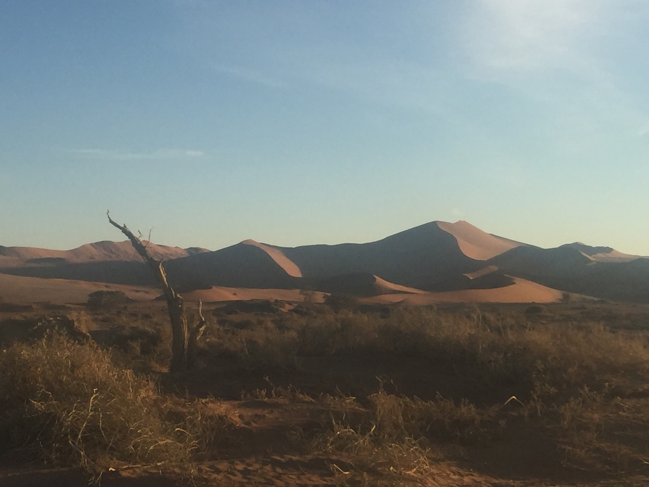 [15475] 2016_06_25_07_20_18_Africa_iPhone_6_Plus_IMG_3672_06867.jpg