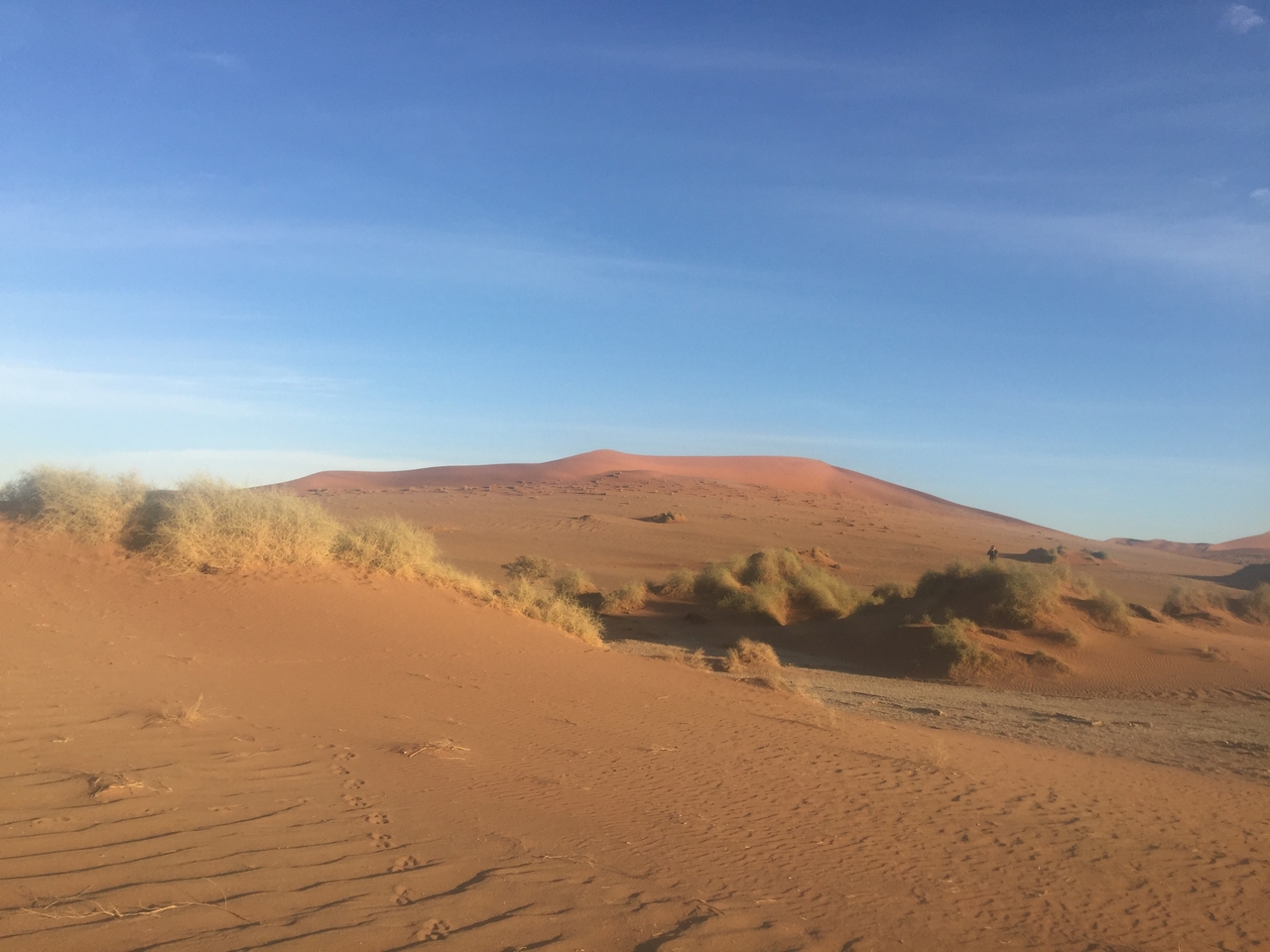 [15542] 2016_06_25_07_31_42_Africa_iPhone_6_Plus_IMG_3676_00287.jpg