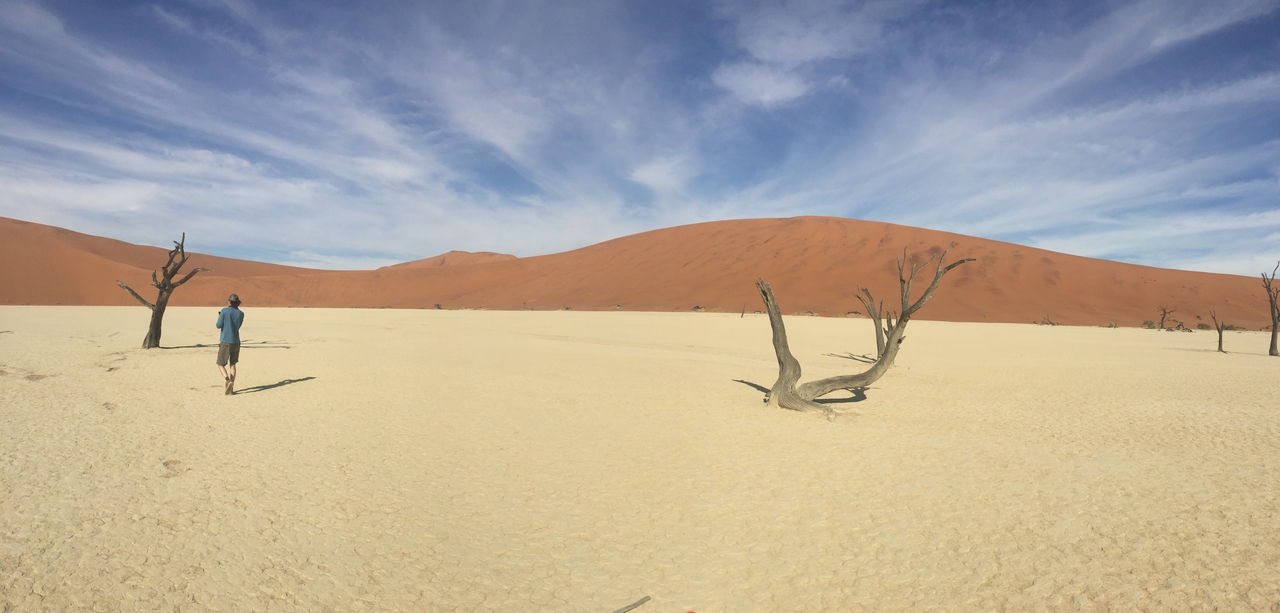 [16111] 2016_06_25_09_59_04_Africa_iPhone_6_Plus_IMG_3683_00294.jpg