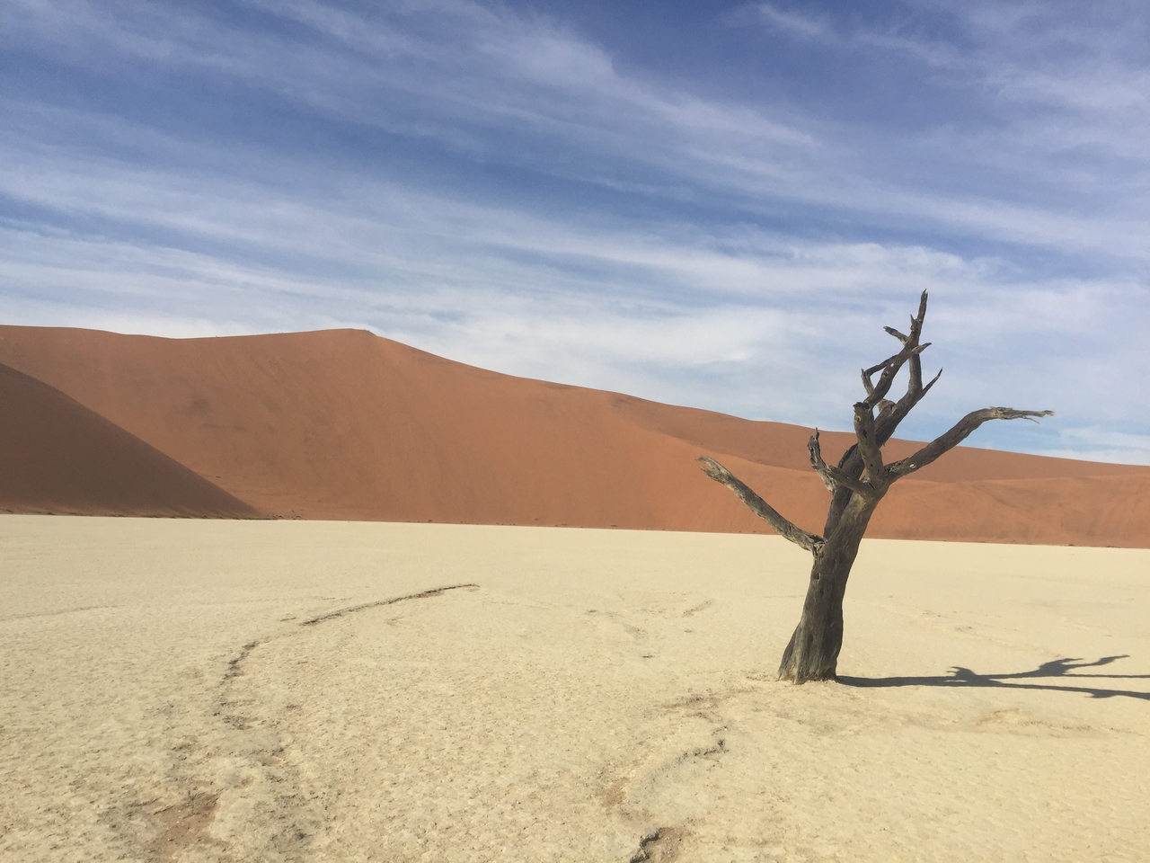 [16117] 2016_06_25_09_59_19_Africa_iPhone_6_Plus_IMG_3684_06879.jpg