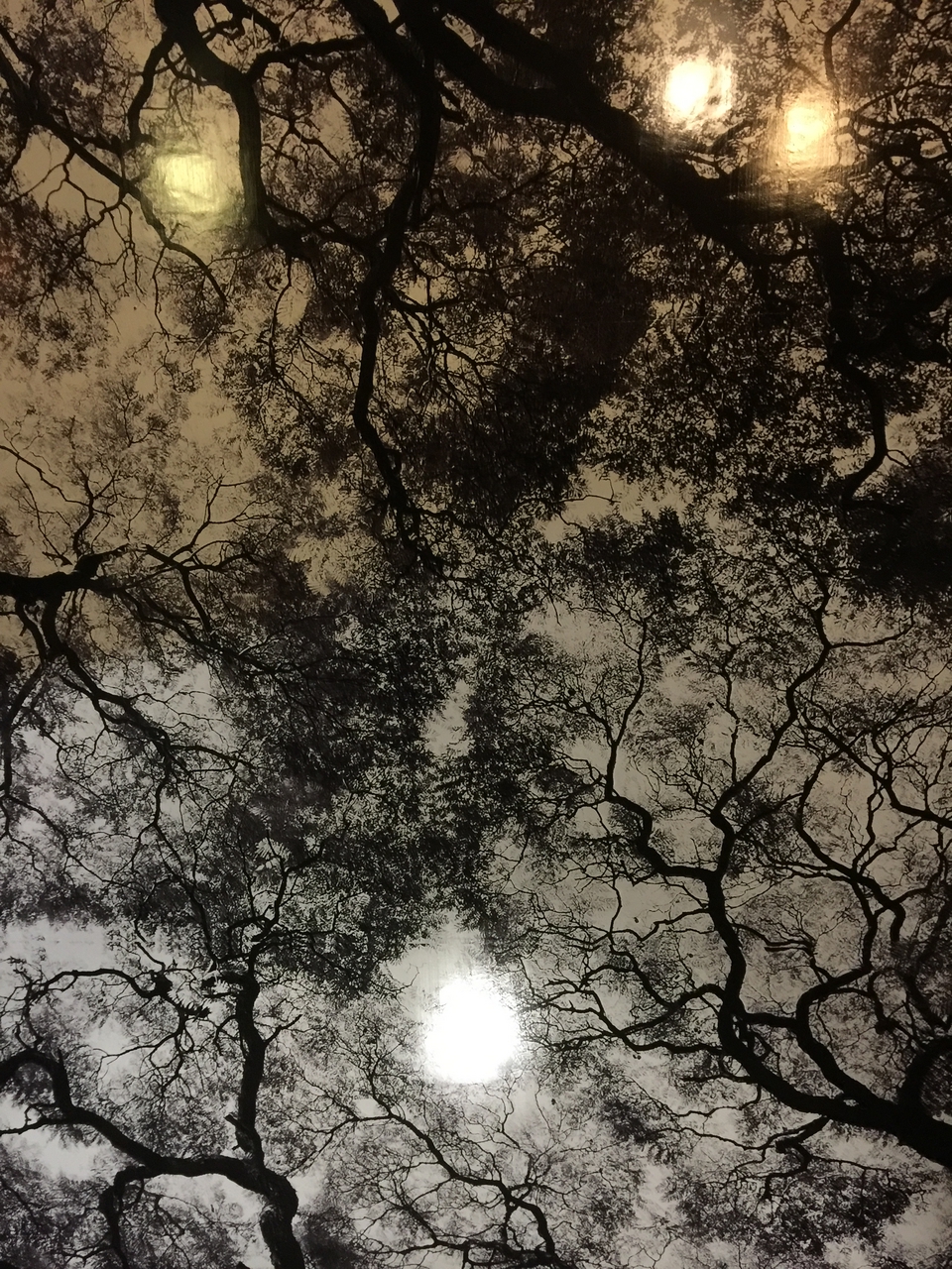 [16679] 2016_06_26_18_34_35_Africa_iPhone_6_Plus_IMG_3739_00342.jpg