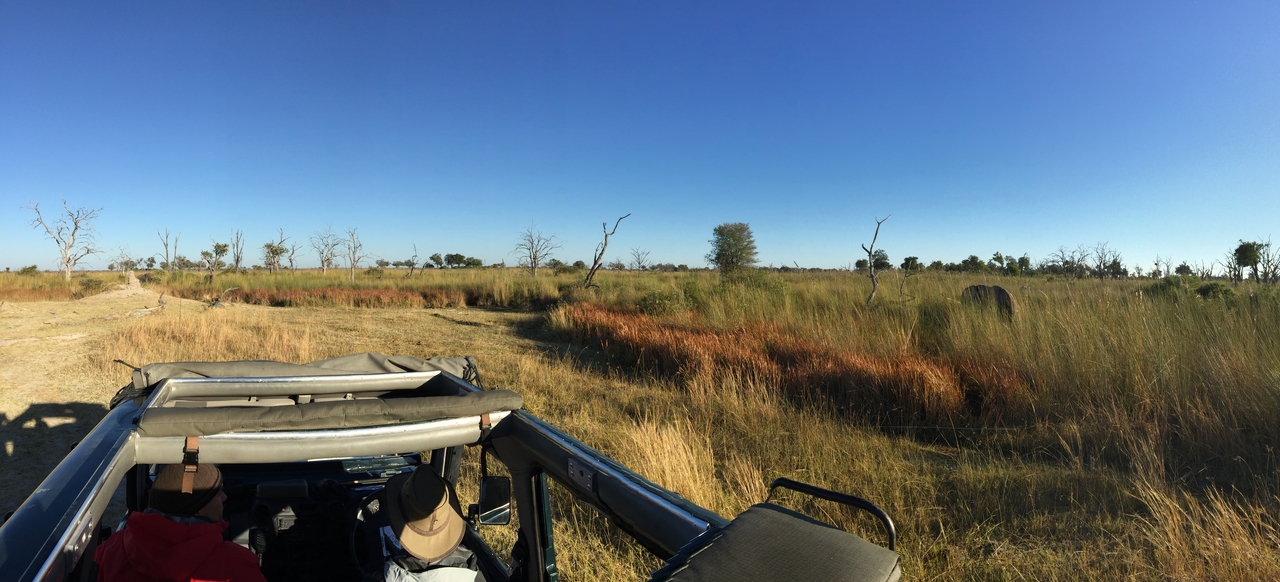 [19831] 2016_06_28_07_12_00_Africa_iPhone_6_Plus_IMG_3780_00372.jpg