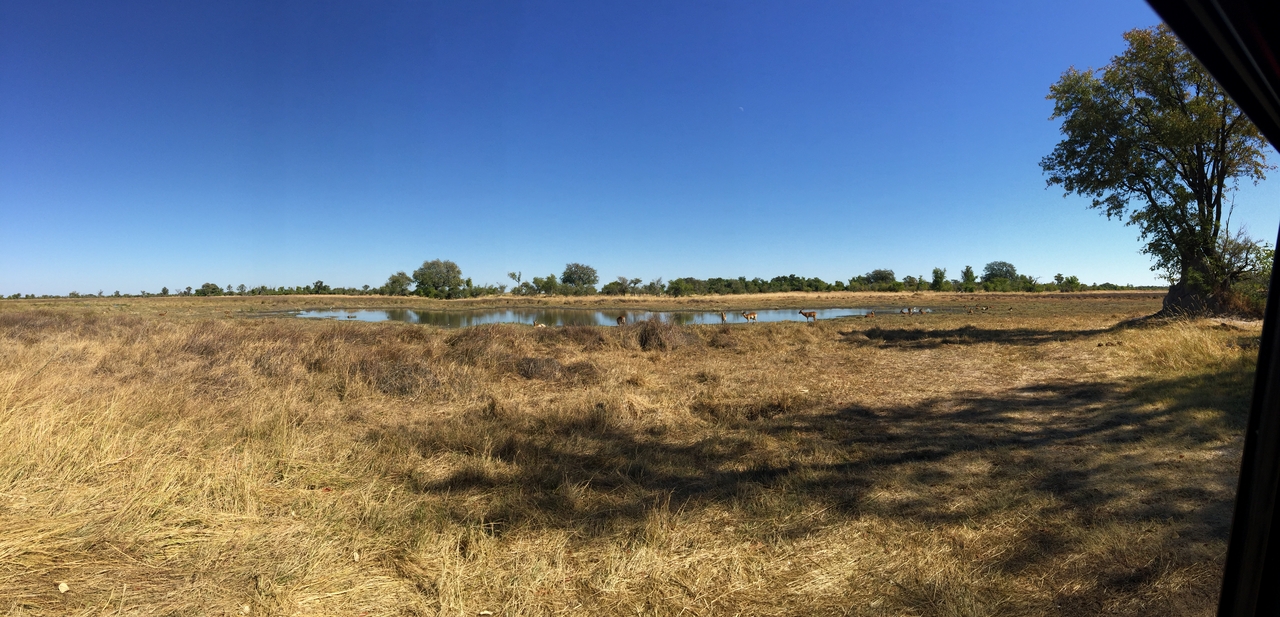 [20022] 2016_06_28_10_32_43_Africa_iPhone_6_Plus_IMG_3827_00385.jpg