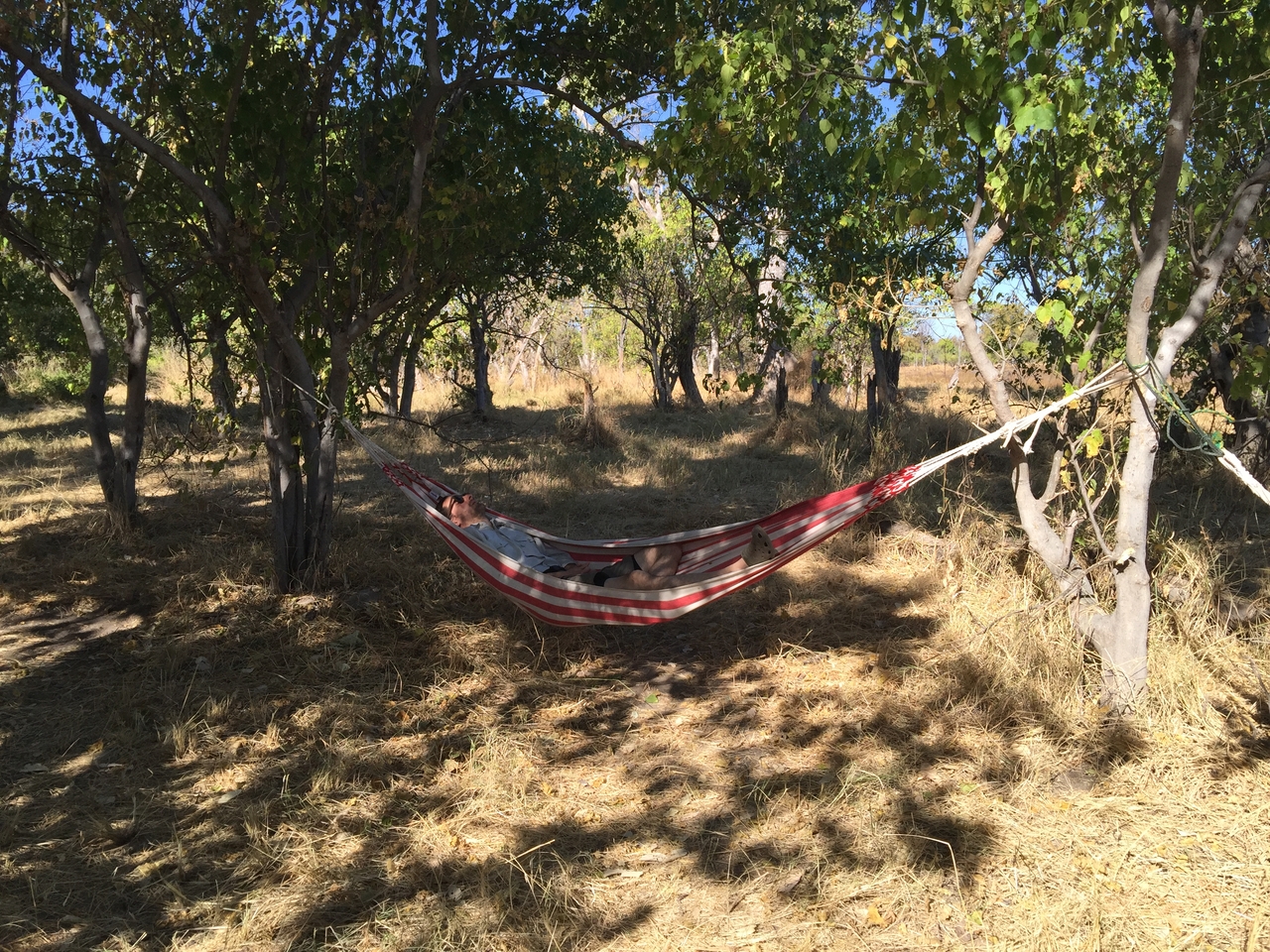 [20395] 2016_06_28_15_04_28_Africa_iPhone_6_Plus_IMG_3836_06977.jpg