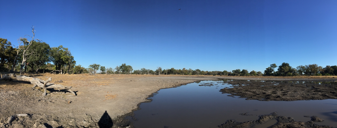 [21415] 2016_06_29_08_27_01_Africa_iPhone_6_Plus_IMG_3853_00402.jpg