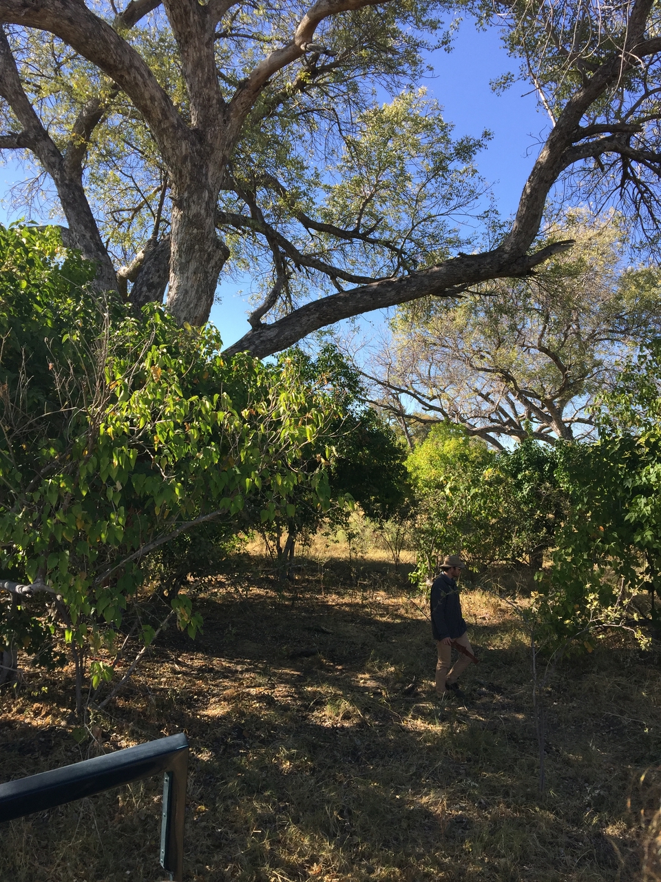 [21444] 2016_06_29_09_41_06_Africa_iPhone_6_Plus_IMG_3862_00409.jpg