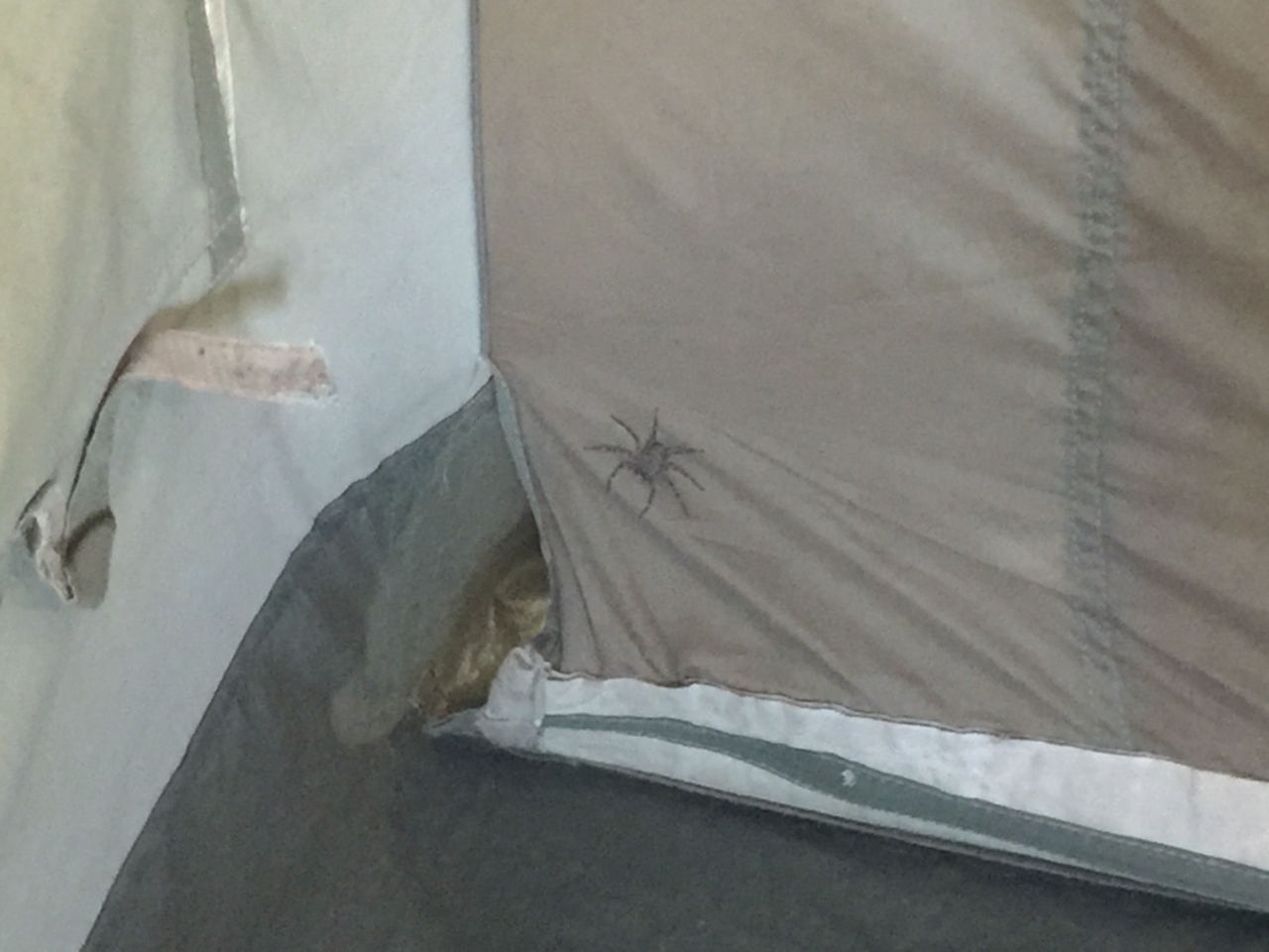 [21916] 2016_06_29_11_54_12_Africa_iPhone_6_Plus_IMG_3869_06999.jpg