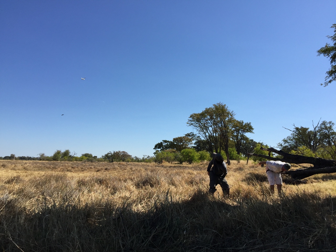 [22182] 2016_06_29_12_47_03_Africa_iPhone_6_Plus_IMG_3877_00422.jpg