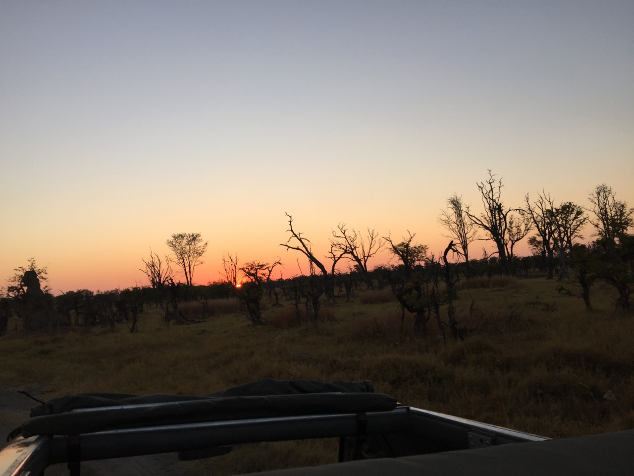 [24613] 2016_06_30_07_02_49_Africa_iPhone_6_Plus_IMG_3907_07019.jpg