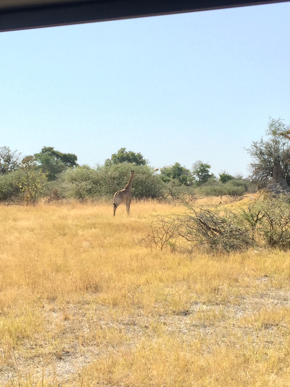 [25204] 2016_06_30_11_52_18_Africa_iPhone_6_Plus_IMG_3958_07041.jpg