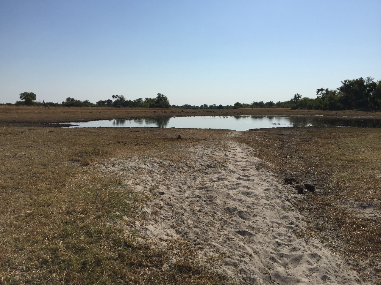 [25314] 2016_06_30_14_55_29_Africa_iPhone_6_Plus_IMG_3978_00472.jpg