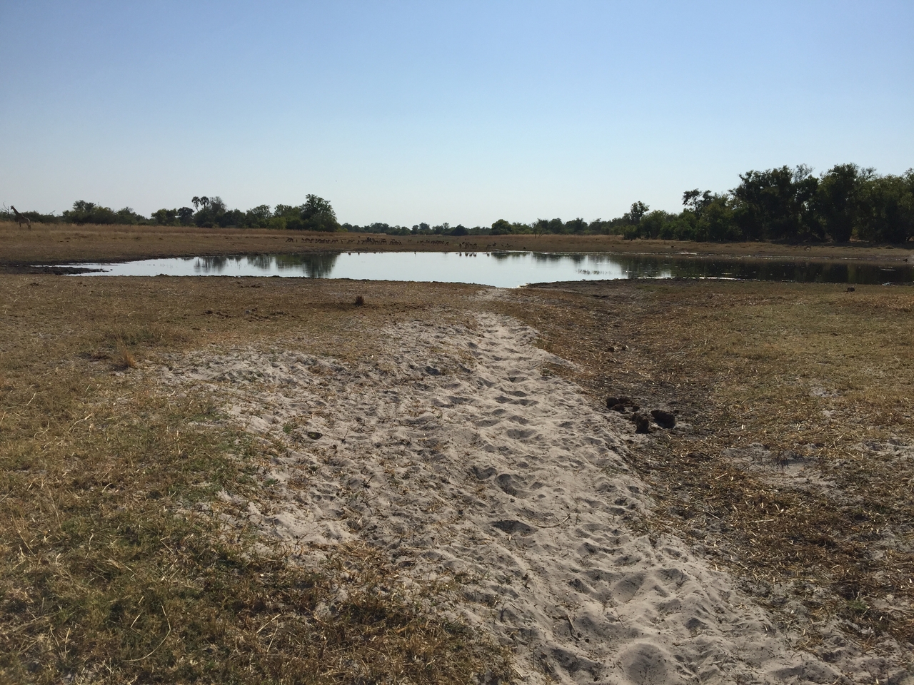 [25316] 2016_06_30_14_55_59_Africa_iPhone_6_Plus_IMG_3979_00473.jpg