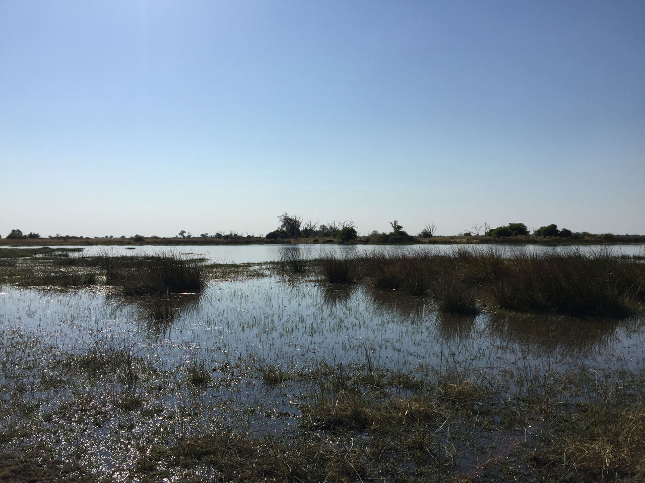 [25786] 2016_06_30_15_08_07_Africa_iPhone_6_Plus_IMG_3983_00477.jpg