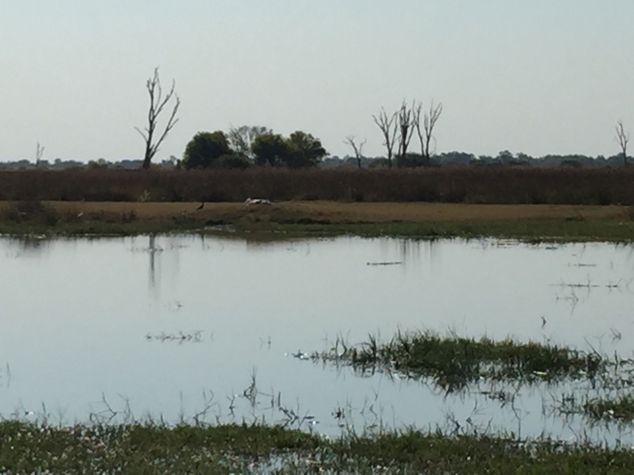 [25789] 2016_06_30_15_10_11_Africa_iPhone_6_Plus_IMG_3985_07062.jpg