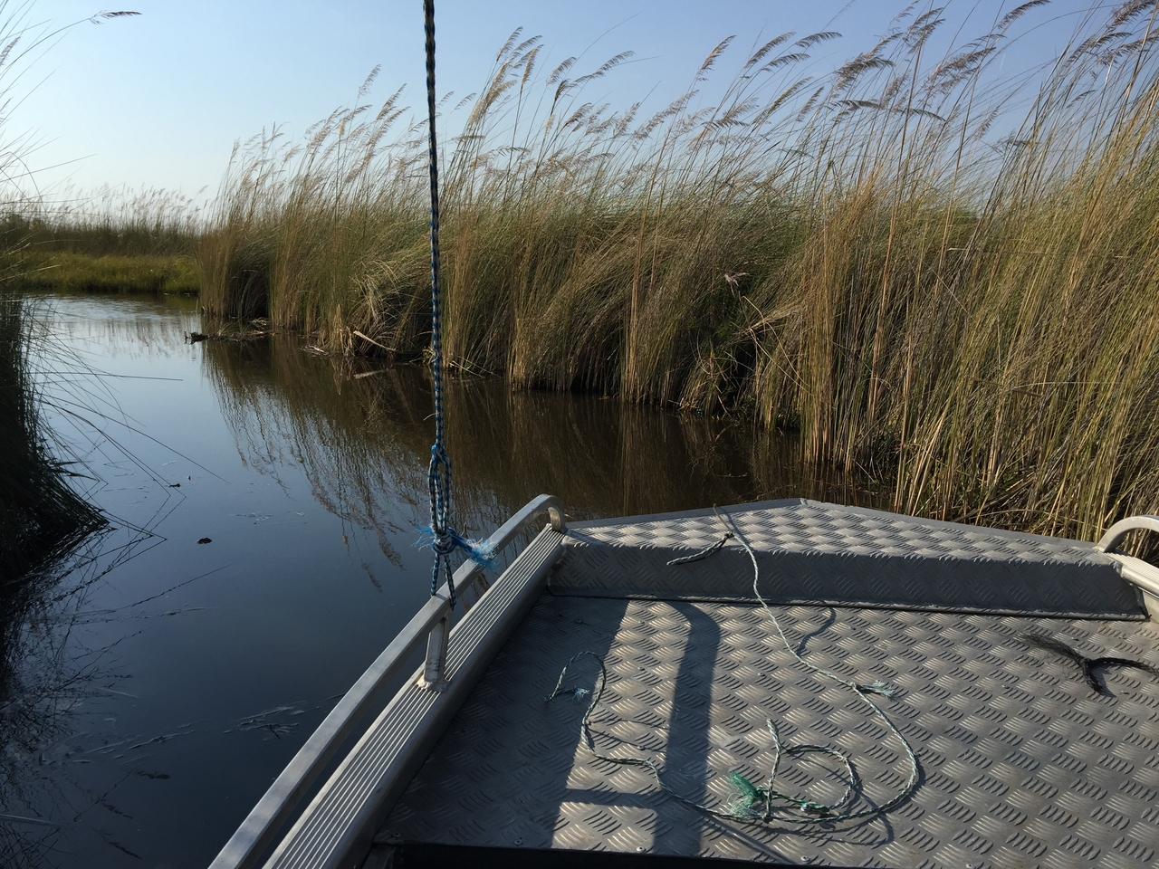 [26921] 2016_07_01_09_31_50_Africa_iPhone_6_Plus_IMG_4006_00490.jpg