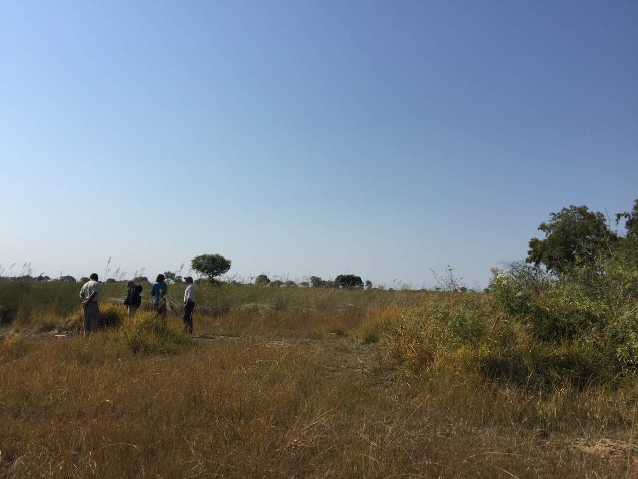 [26966] 2016_07_01_10_57_41_Africa_iPhone_6_Plus_IMG_4041_00501.jpg