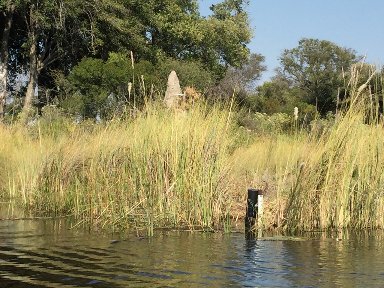 [26969] 2016_07_01_11_00_22_Africa_iPhone_6_Plus_IMG_4042_00502.jpg