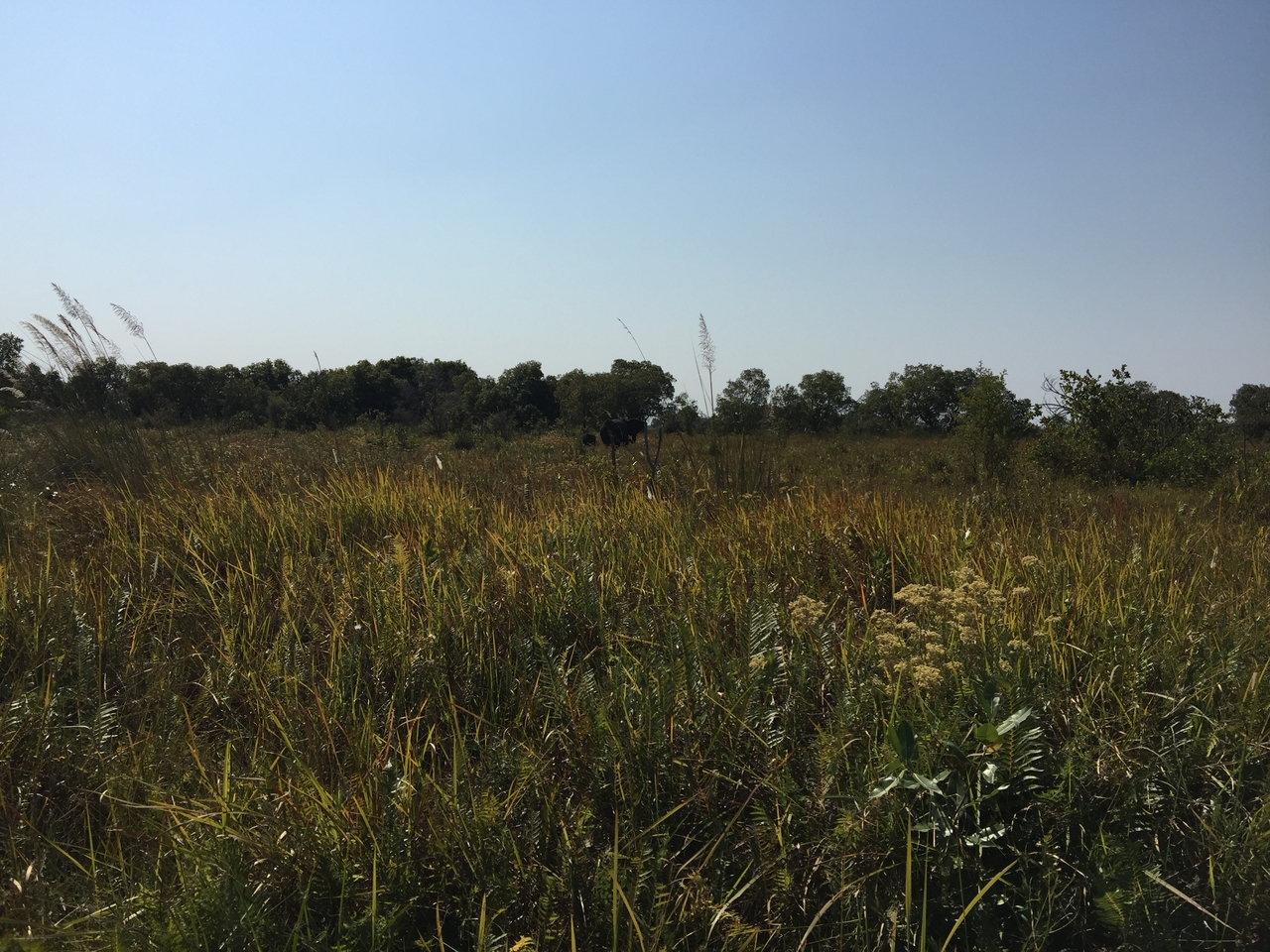 [26996] 2016_07_01_11_42_10_Africa_iPhone_6_Plus_IMG_4064_00510.jpg