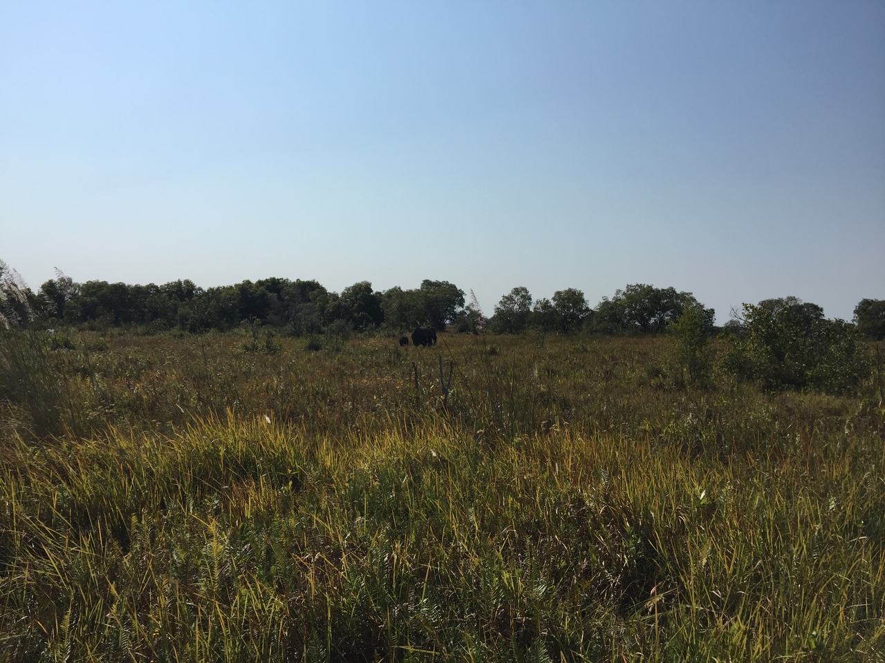 [26999] 2016_07_01_11_42_20_Africa_iPhone_6_Plus_IMG_4065_00511.jpg