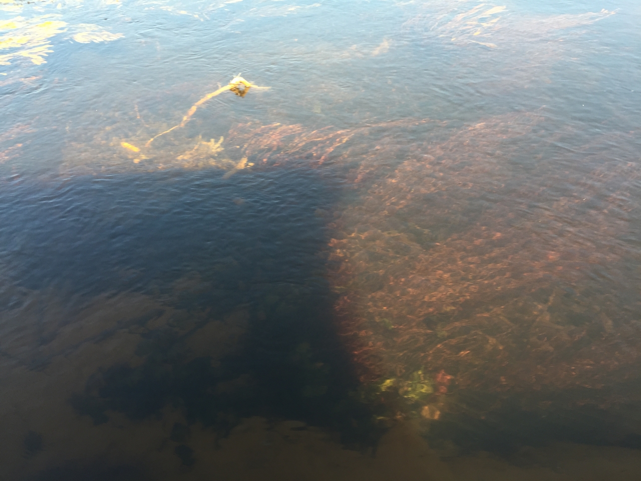 [27013] 2016_07_01_12_46_32_Africa_iPhone_6_Plus_IMG_4072_00026.jpg