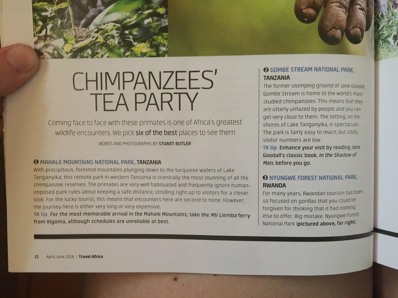 [27104] 2016_07_01_14_35_45_Africa_iPhone_6_Plus_IMG_4097_00534.jpg