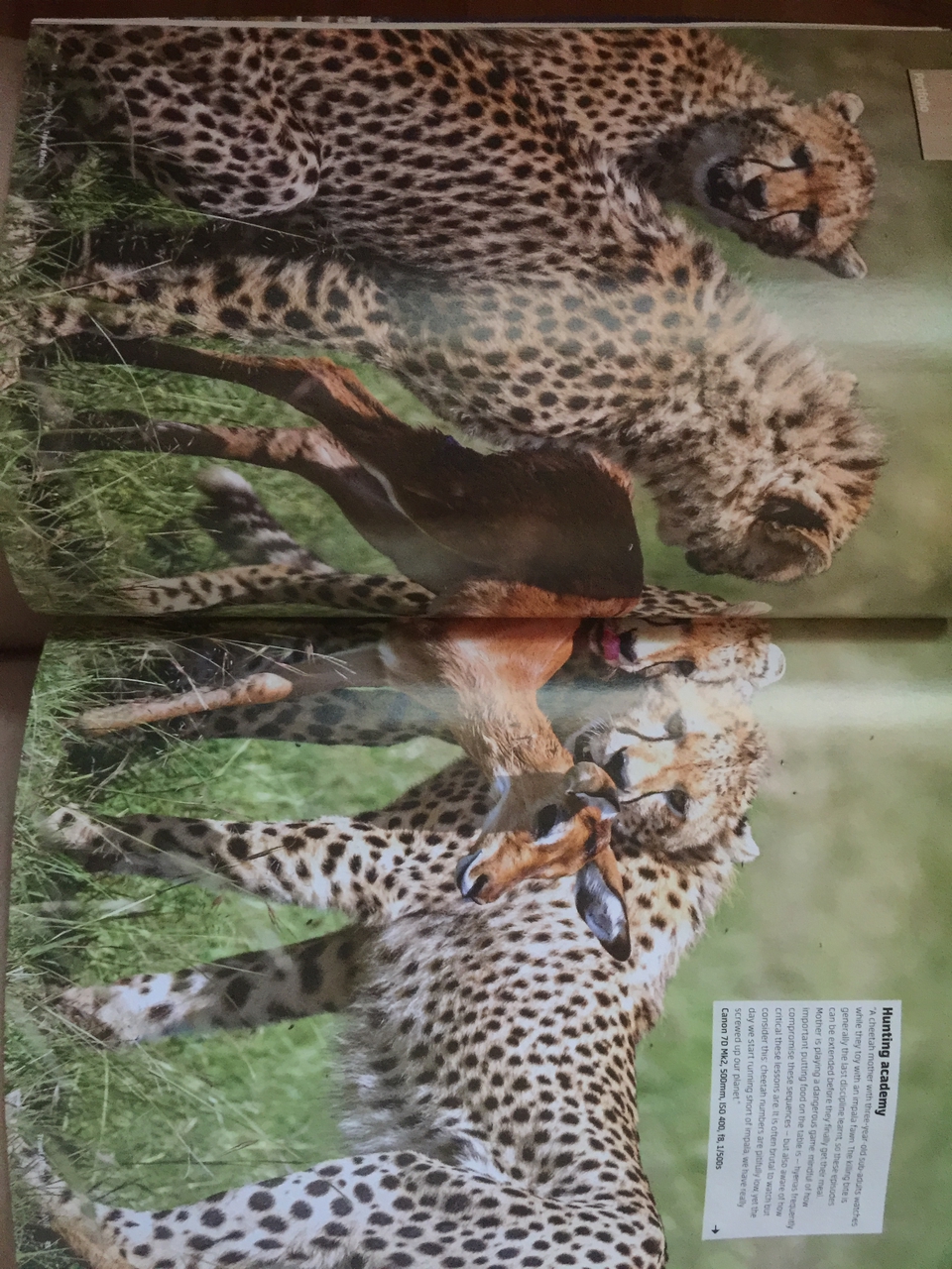 [27106] 2016_07_01_14_37_45_Africa_iPhone_6_Plus_IMG_4098_00047.jpg