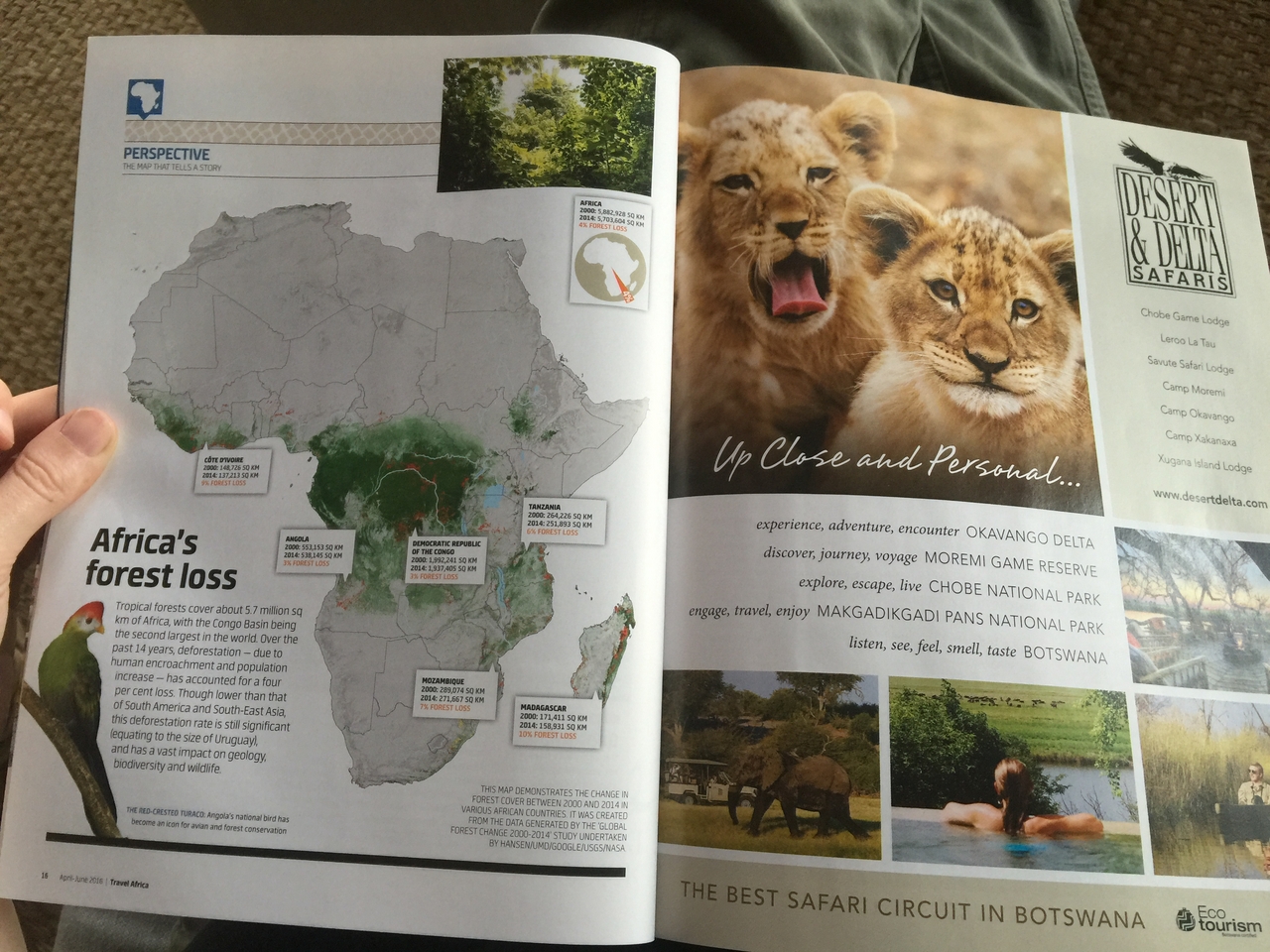 [27111] 2016_07_01_14_39_44_Africa_iPhone_6_Plus_IMG_4099_07120.jpg