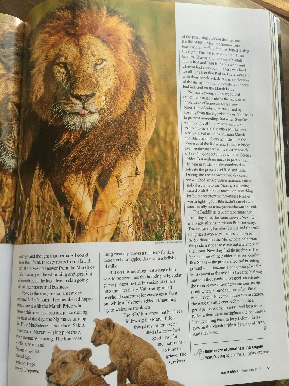 [27116] 2016_07_01_14_45_39_Africa_iPhone_6_Plus_IMG_4101_00538.jpg