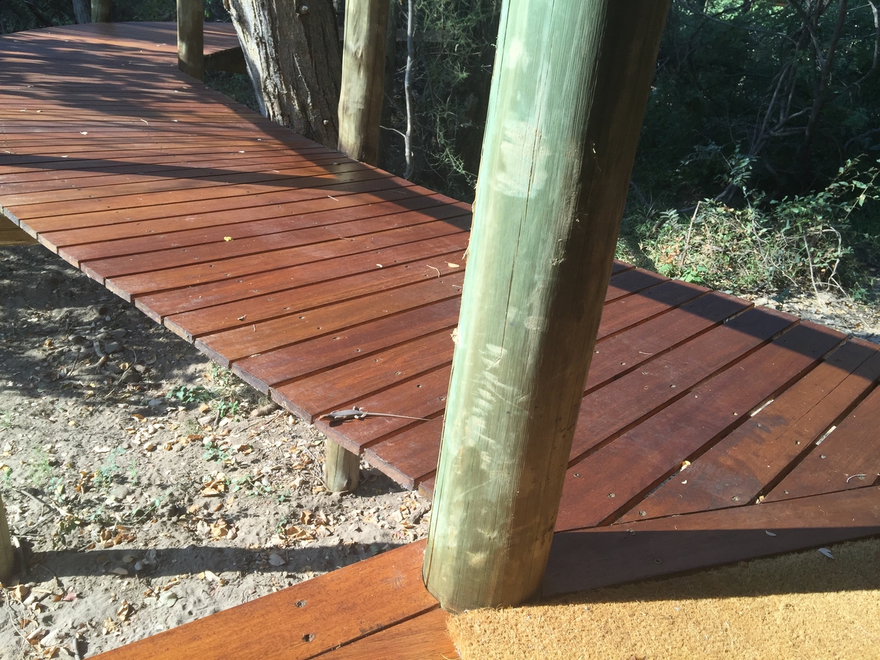 [27137] 2016_07_01_15_07_49_Africa_iPhone_6_Plus_IMG_4109_00544.jpg