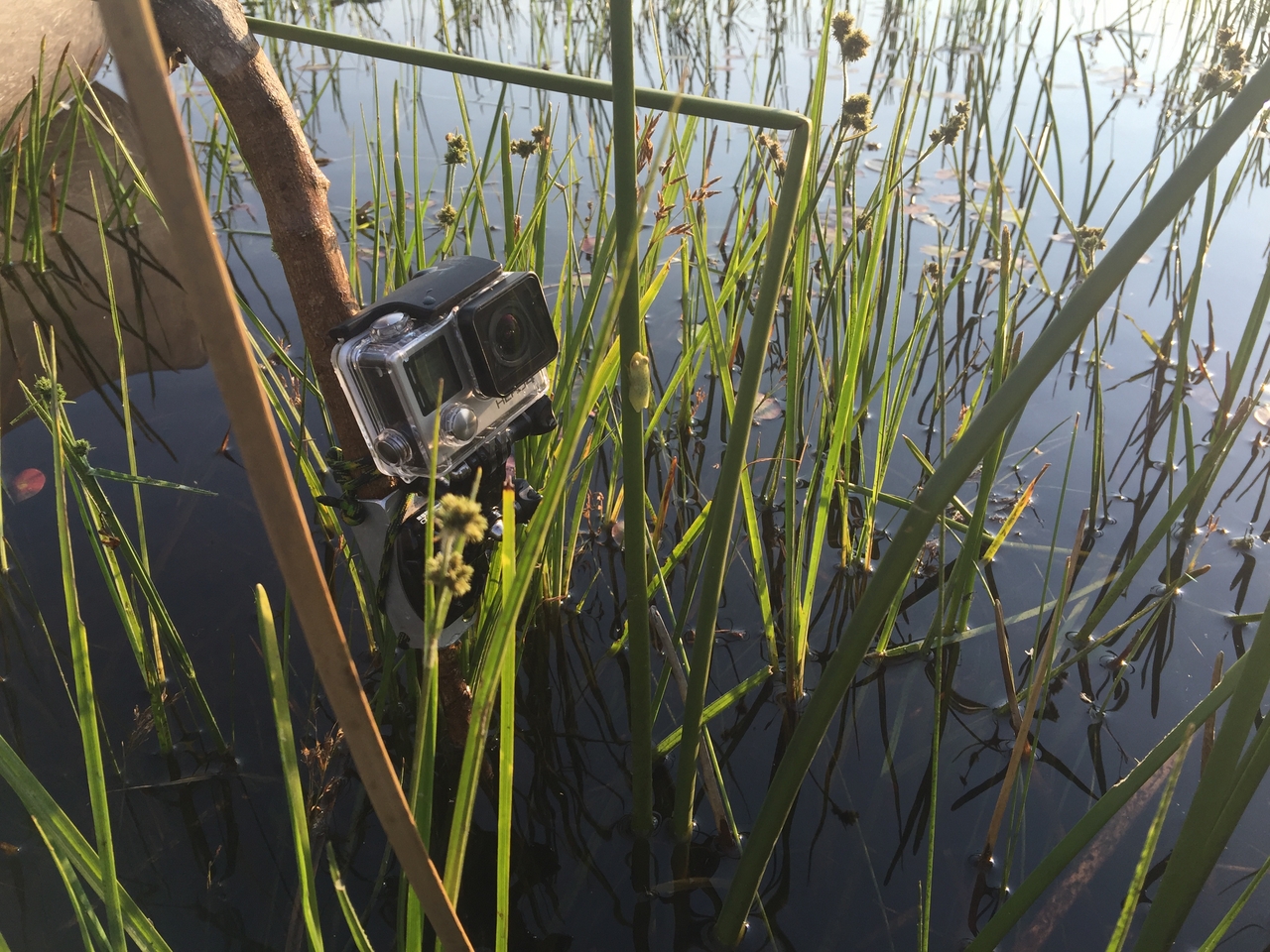 [27267] 2016_07_01_16_36_13_Africa_iPhone_6_Plus_IMG_4137_00562.jpg