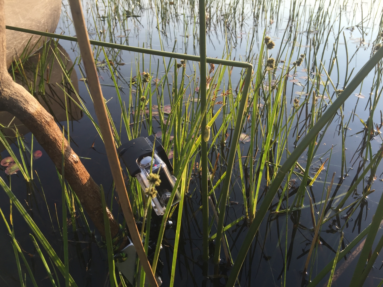 [27271] 2016_07_01_16_36_16_Africa_iPhone_6_Plus_IMG_4138_07147.jpg