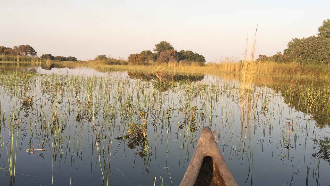 [27381] 2016_07_01_17_17_55_Africa_iPhone_6_Plus_IMG_4589_00575.jpg