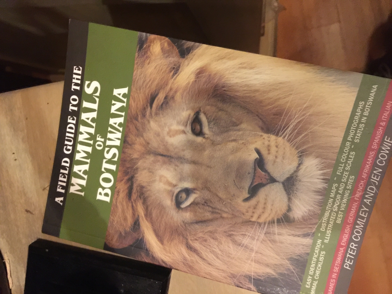 [27478] 2016_07_01_20_59_29_Africa_iPhone_6_Plus_IMG_4616_07181.jpg