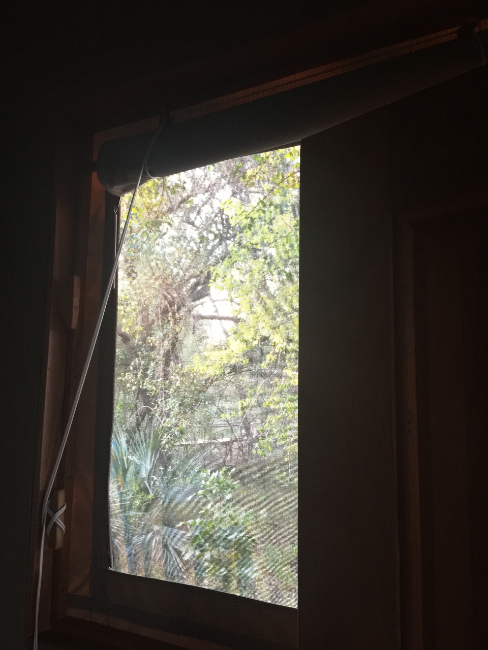 [27842] 2016_07_02_07_40_46_Africa_iPhone_6_Plus_IMG_4625_00605.jpg