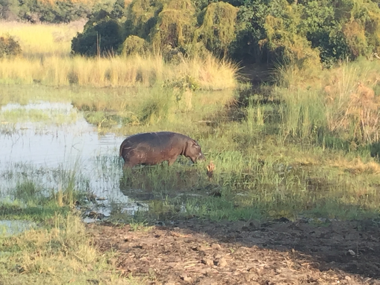 [27936] 2016_07_02_08_42_12_Africa_iPhone_6_Plus_IMG_4643_00120.jpg