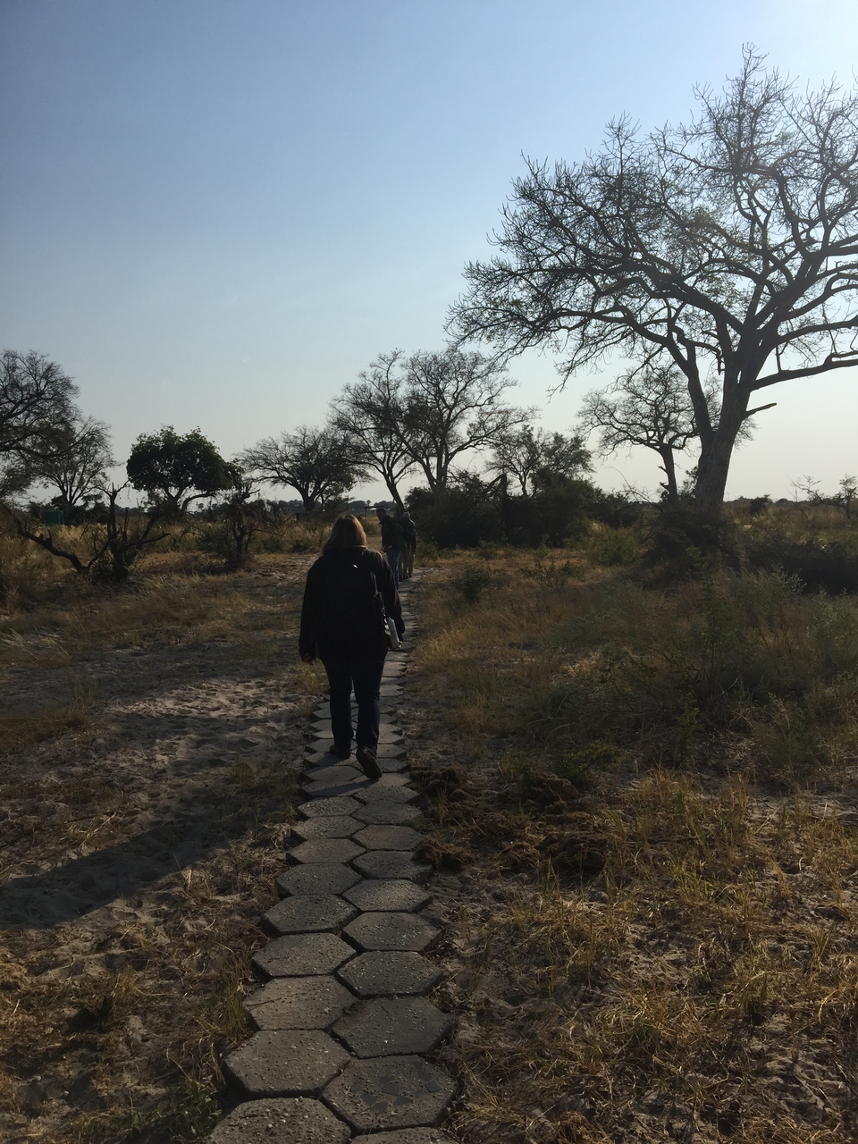 [28034] 2016_07_02_09_17_34_Africa_iPhone_6_Plus_IMG_4649_07194.jpg