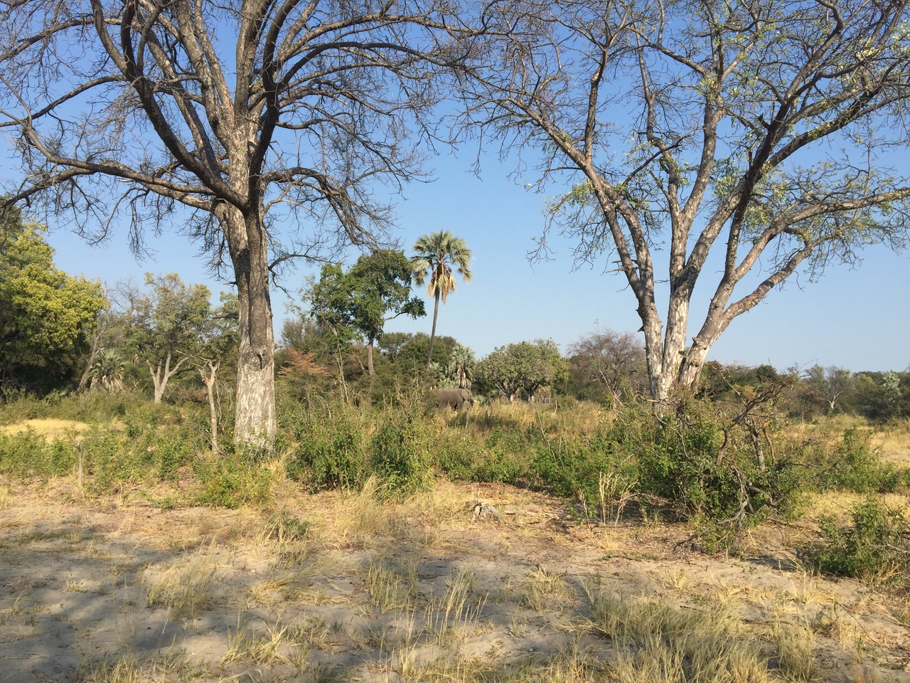 [28039] 2016_07_02_09_17_52_Africa_iPhone_6_Plus_IMG_4651_00612.jpg