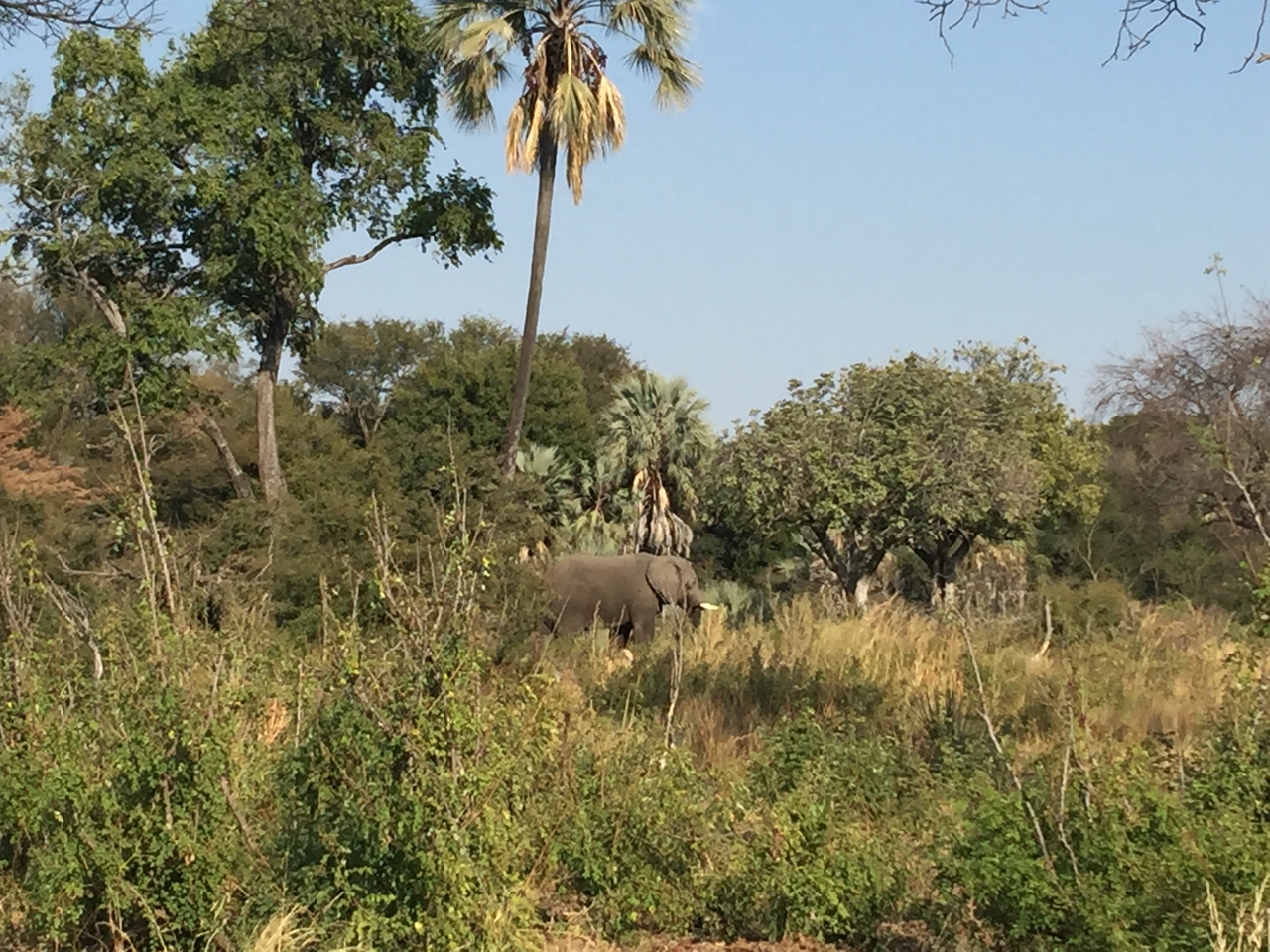 [28043] 2016_07_02_09_17_55_Africa_iPhone_6_Plus_IMG_4652_07197.jpg
