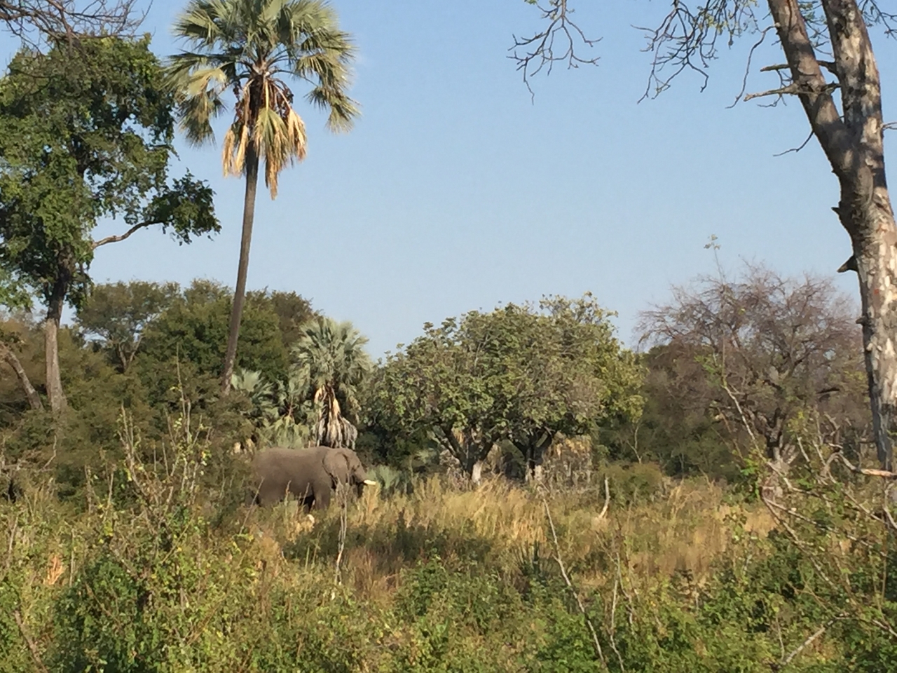 [28047] 2016_07_02_09_17_57_Africa_iPhone_6_Plus_IMG_4654_00127.jpg