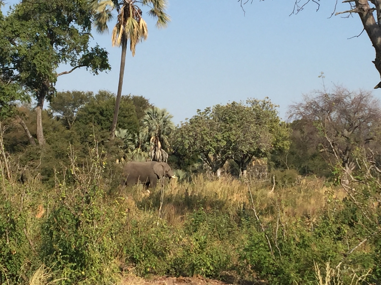 [28051] 2016_07_02_09_17_58_Africa_iPhone_6_Plus_IMG_4655_00616.jpg