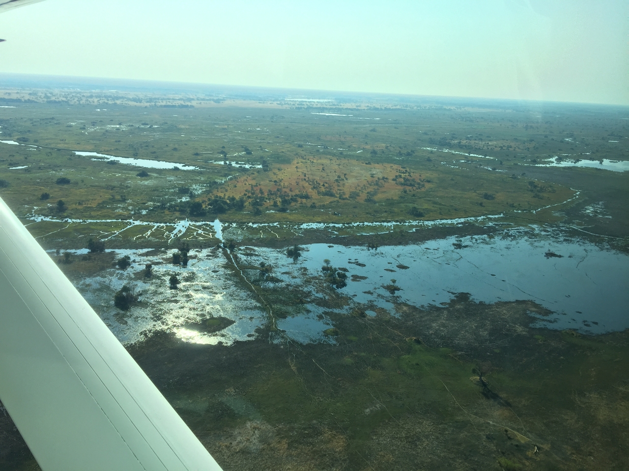 [28085] 2016_07_02_09_26_05_Africa_iPhone_6_Plus_IMG_4663_07207.jpg