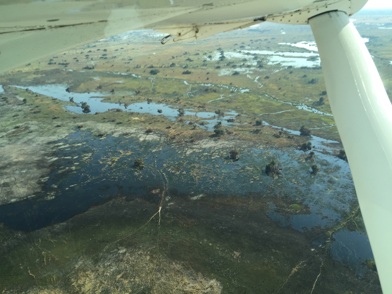 [28086] 2016_07_02_09_26_10_Africa_iPhone_6_Plus_IMG_4664_00136.jpg