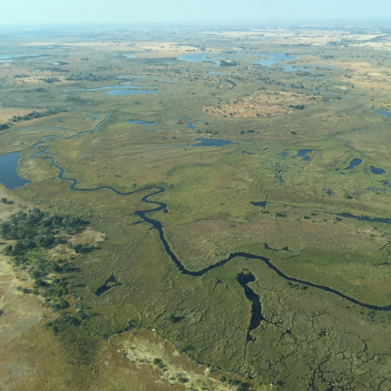 [28104] 2016_07_02_09_27_53_Africa_iPhone_6_Plus_IMG_5016_00013.jpg