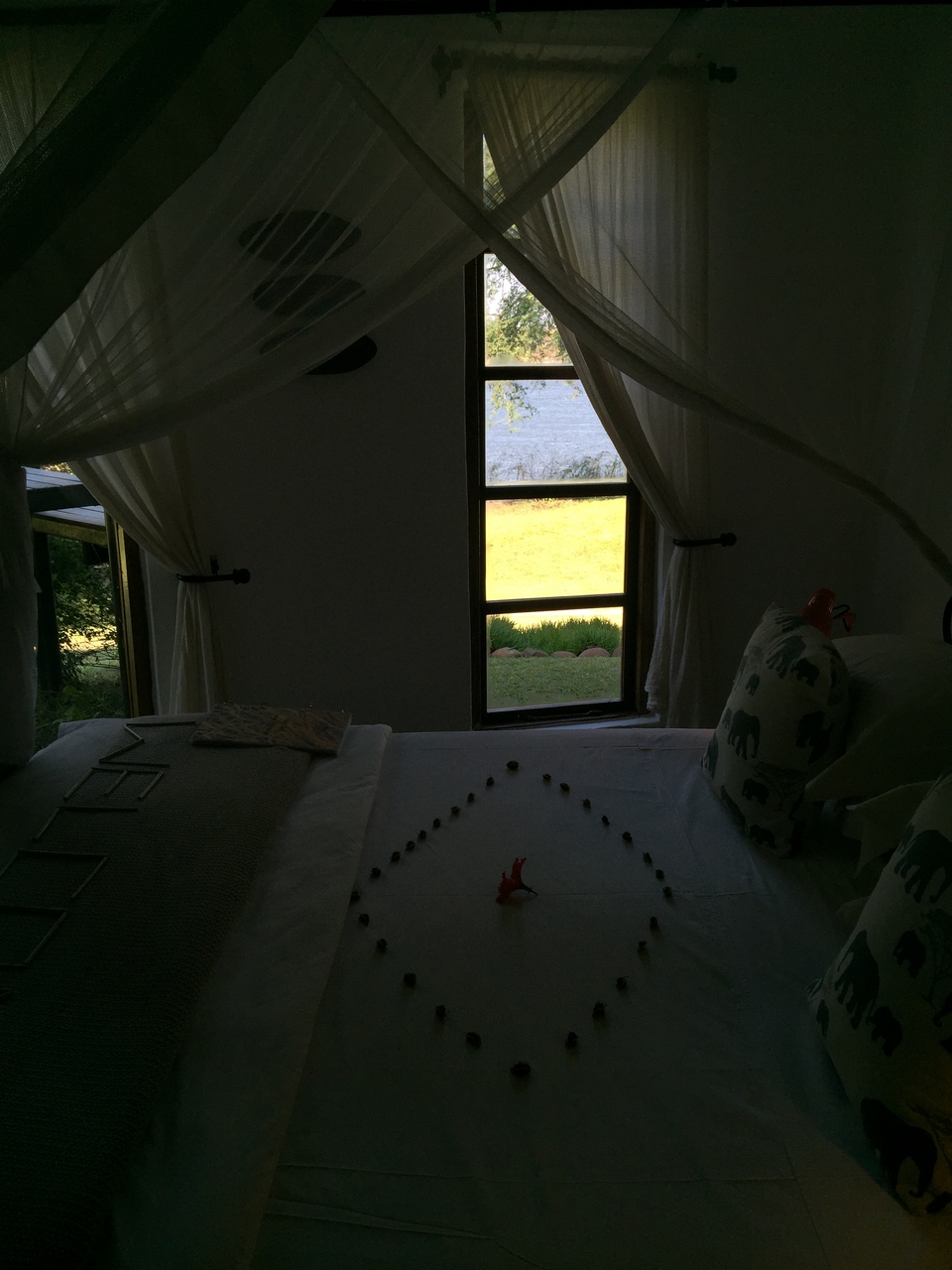 [28708] 2016_07_02_13_24_18_Africa_iPhone_6_Plus_IMG_4767_00651.jpg