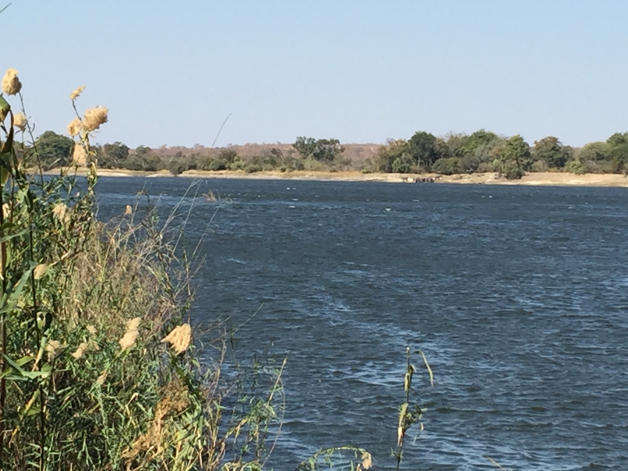 [28720] 2016_07_02_13_49_40_Africa_iPhone_6_Plus_IMG_4771_00655.jpg