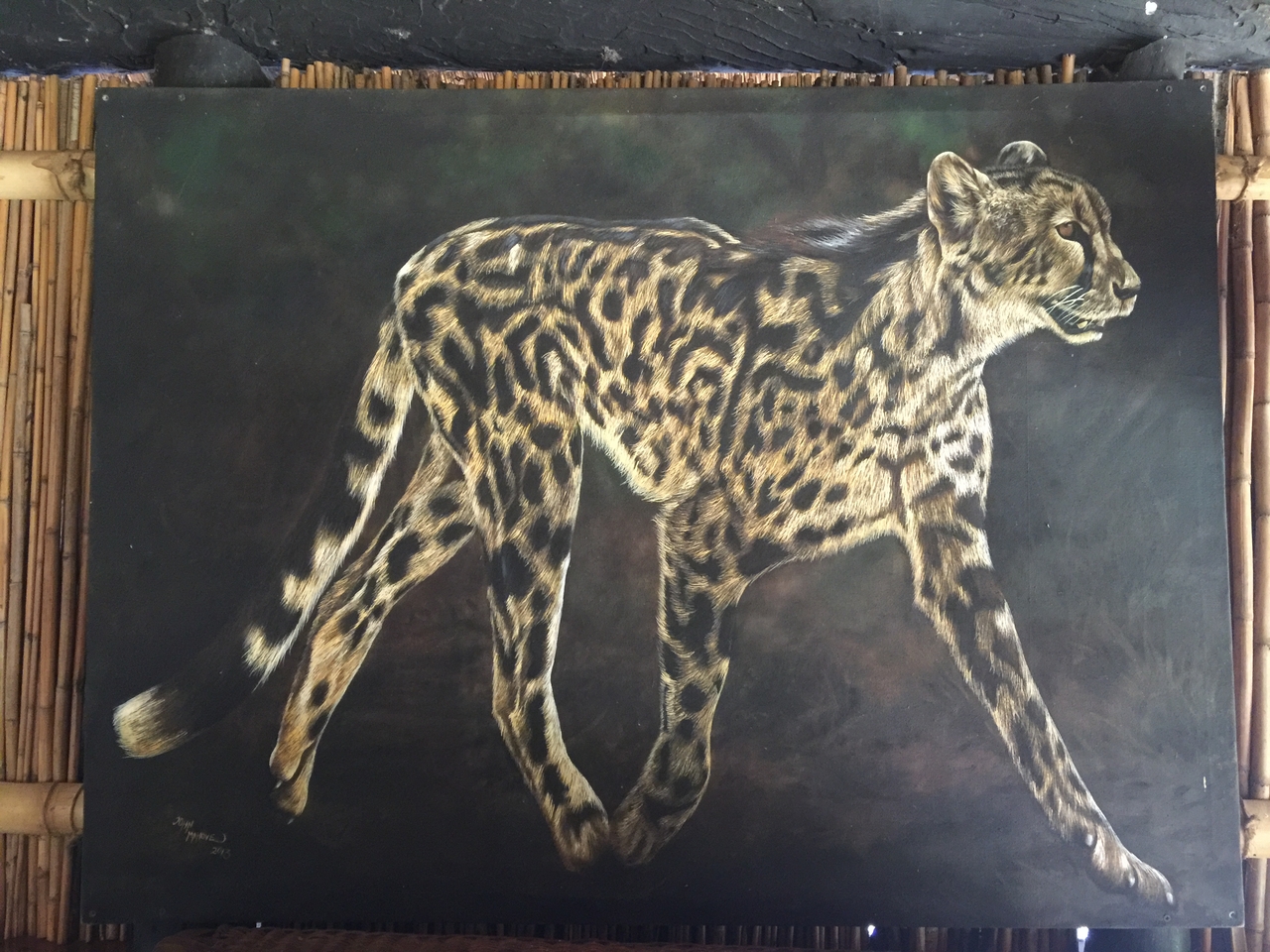 [28746] 2016_07_02_14_45_31_Africa_iPhone_6_Plus_IMG_4776_00172.jpg