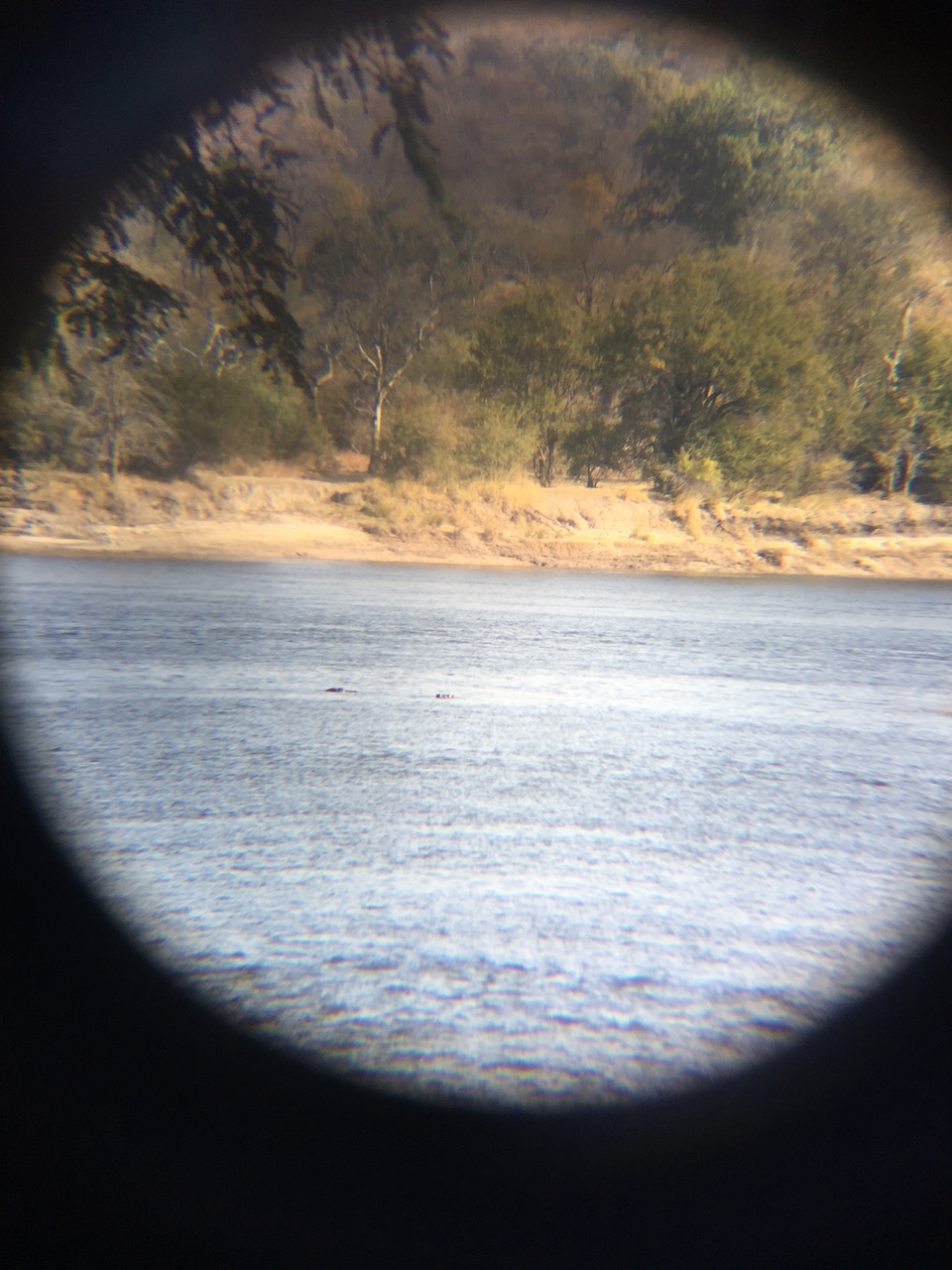 [28774] 2016_07_02_15_28_24_Africa_iPhone_6_Plus_IMG_4789_00669.jpg