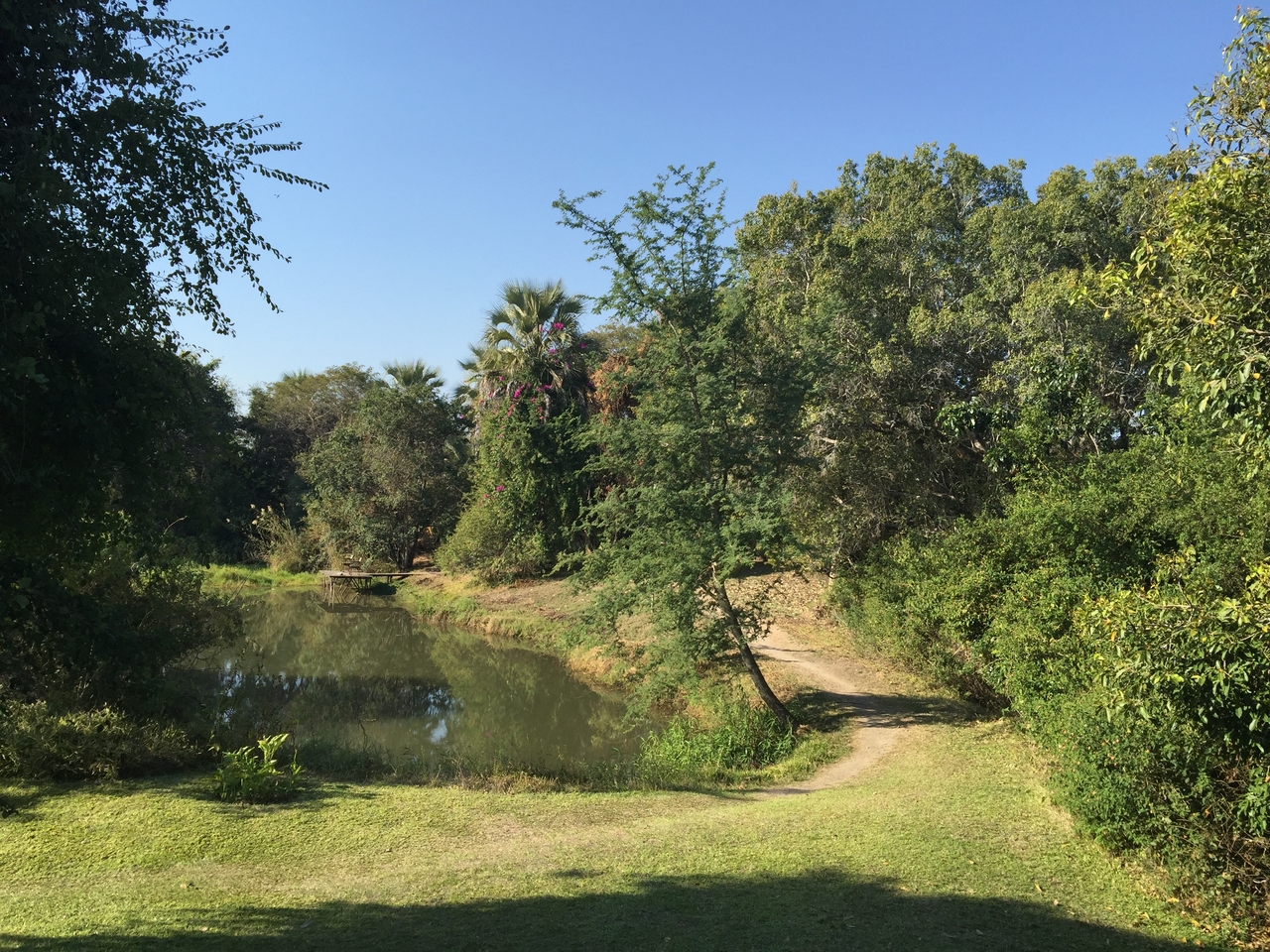 [28777] 2016_07_02_15_31_47_Africa_iPhone_6_Plus_IMG_4790_00670.jpg